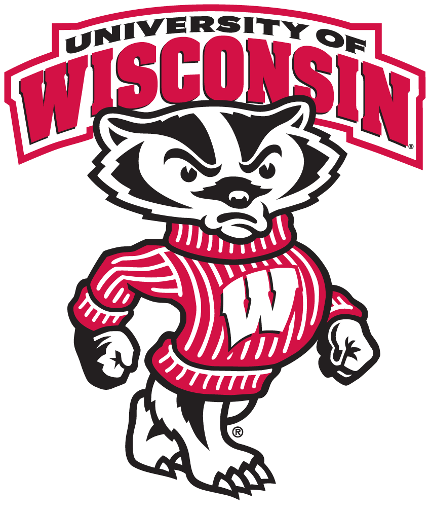 Wisconsin Badgers 2003-2017 Secondary Logo diy iron on heat transfer